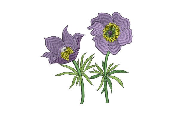Download Springtime Anemone Pair - Spring Collection